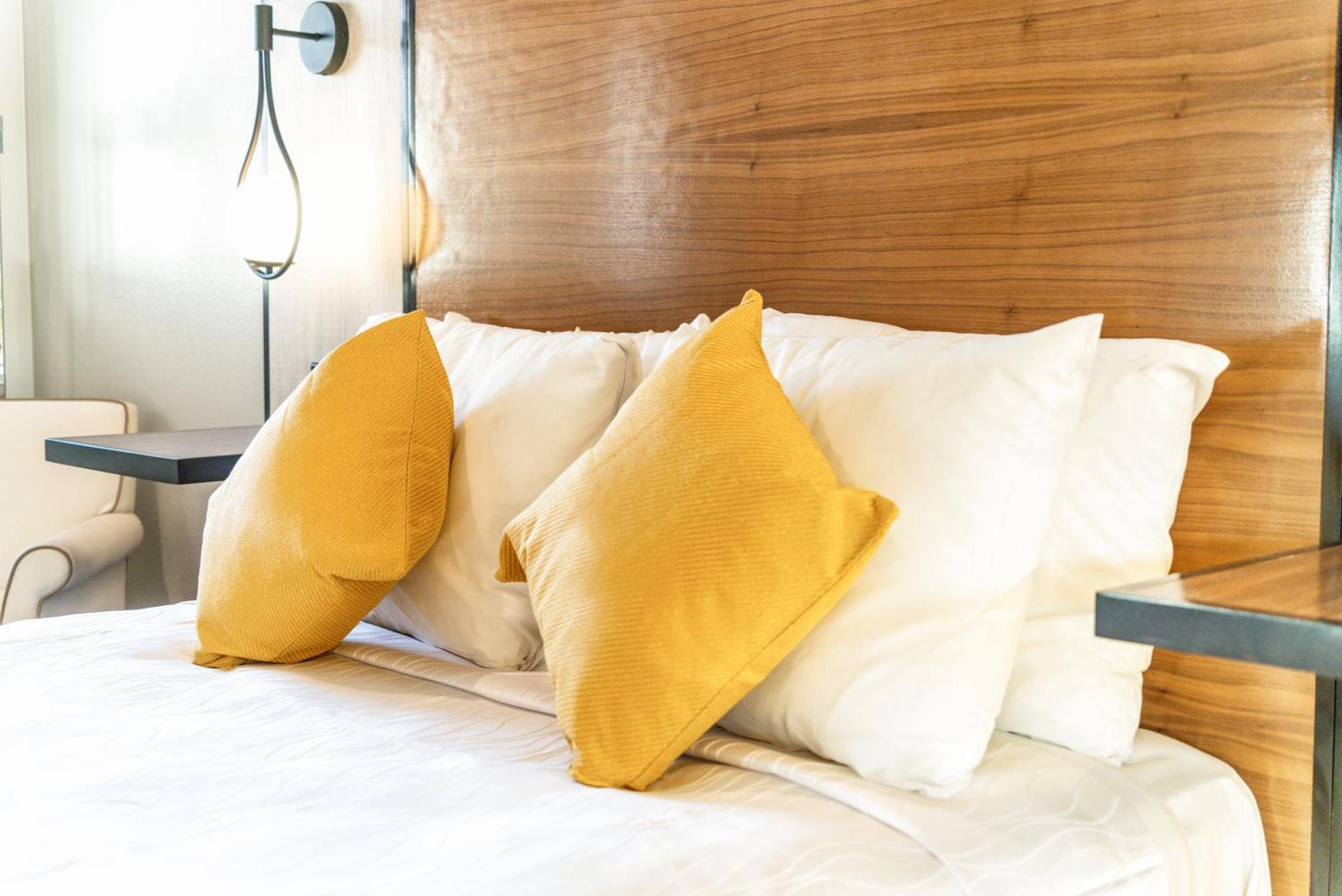 Aspire Inn Studios & Spas Белфлауър Екстериор снимка
